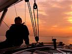 acimg0451.jpg