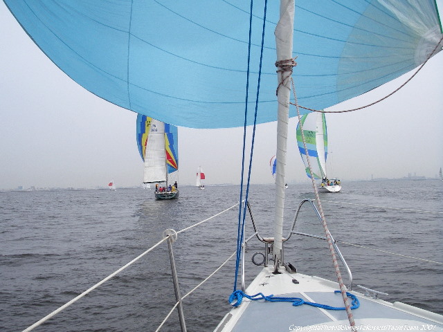 RIMGP3639.jpg