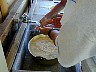 Dscn0962.jpg