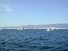 DSCN2128.JPG