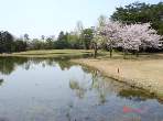 dsc00431.jpg
