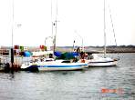 adsc01569.jpg